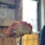 Photo of Doppio Pasticceria Sicilian Bakery