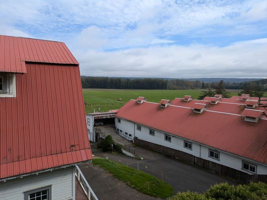 Carnation Farms by null