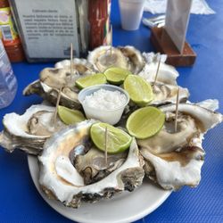 Mariscos Torito - Fresh Oysters