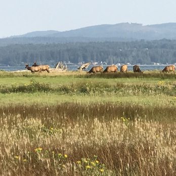 Dosewallips State Park - Parks Near Me - Brinnon, Washington