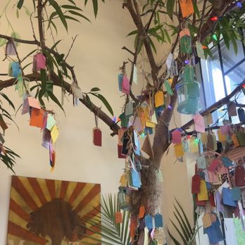 Under the Mango Tree - Coffee & Tea Near Me - Miami Beach, Florida