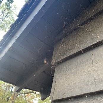 Lake Wister State Park - Just a sample of one spider, black widows are there too - Parks Near Me - Wister, Oklahoma