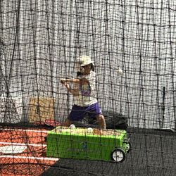 The Batters Box