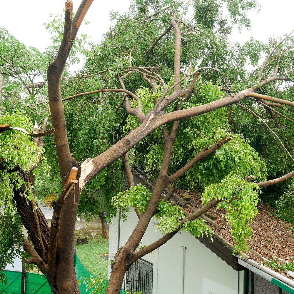 Slide of Victory Roofing