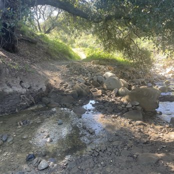 Harmon Canyon Preserve - Stream crossing and shade - Hiking Near Me - Ventura, California