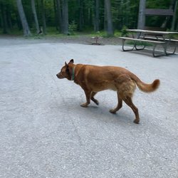 Brown County Park & Pet Exercise Area