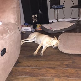 Hours after she got home.