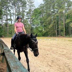 Pony Gang Horse Crazy Camp