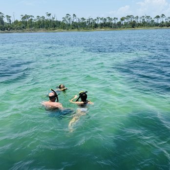 Gabby's Dolphin Tours PCB - Snorkeling - Boat Tours Near Me Gabby's Dolphin Tours PCB - Snorkeling - Boat Tours Near Me