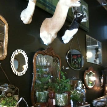 Asrai Garden - Florists Near Me - Chicago, Illinois