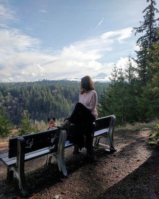 Green River College by null