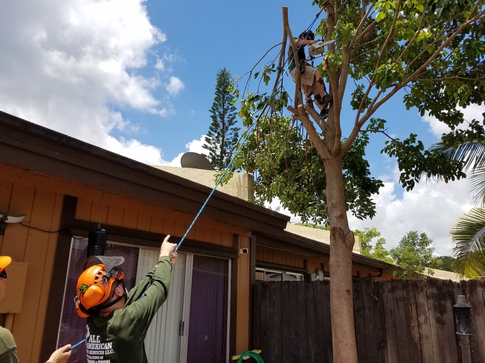 American Arbor Services - tree service in Pembroke Pines, FL