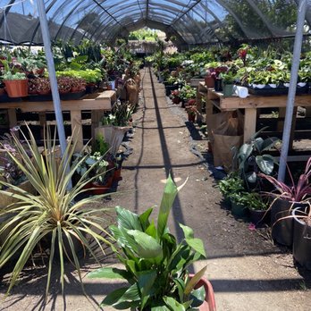 Mezcala Nursery - Nurseries & Gardening Near Me - Long Beach, California Mezcala Nursery - Nurseries & Gardening Near Me - Long Beach, California