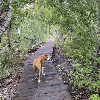 Convict Lake - Elevated walk way at the half point to go over a large creek (parts were flooded end of summer) - Hiking Near Me - Mammoth Lakes, California Convict Lake - Elevated walk way at the half point to go over a large creek (parts were flooded end of summer) - Hiking Near Me - Mammoth Lakes, California