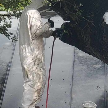 All Service - Pest Control Near Me All Service - Pest Control Near Me