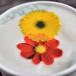 Oasis Nutrition- Modern Protein Cafe - Blue vanilla chai latte with edible rice paper flowers.