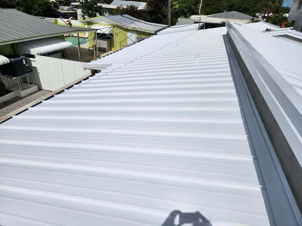 Slide of Roof Assassins