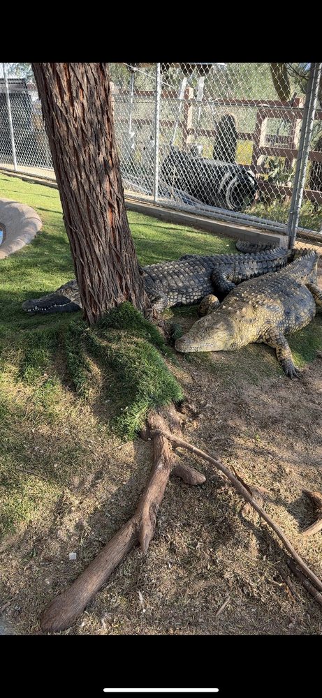 Phoenix Herpetological Society - social services organization in Scottsdale, AZ