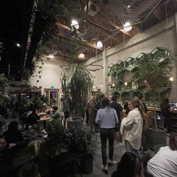 Arcana - Nurseries & Gardening Near Me - San Francisco, California