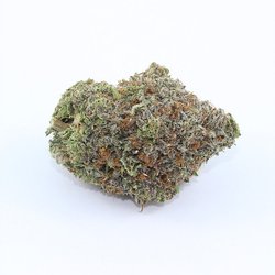 Rocket Buds 25 Cap