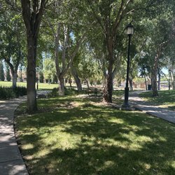 Lots of shade trees and