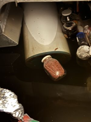 Basement flood response