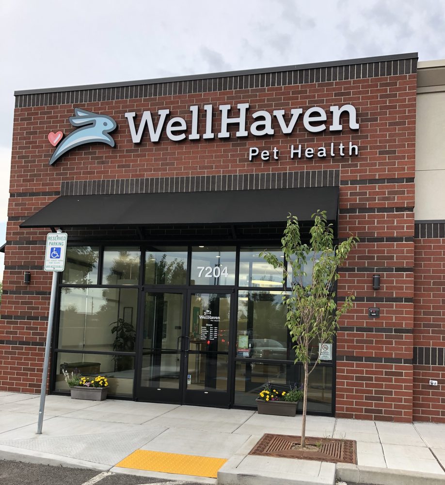 WELLHAVEN PET HEALTH HAZEL DELL 10 Photos & 16 Reviews 7204 NE Hwy