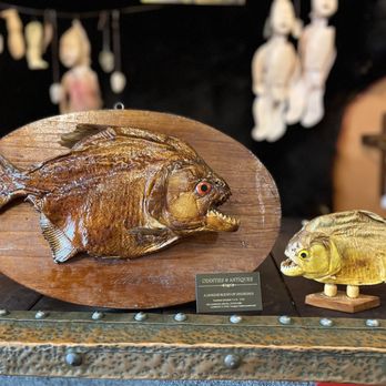 Oddities and Antiques - Piranhas - Antiques Near Me - Clearwater, Florida Oddities and Antiques - Piranhas - Antiques Near Me - Clearwater, Florida