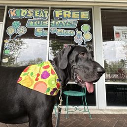 Exterior outside entrance of Bob G’s Wings N Things - Dogs & Kids love Bob G's!! - Sunrise, Florida Exterior outside entrance of Bob G’s Wings N Things - Dogs & Kids love Bob G's!! - Sunrise, Florida