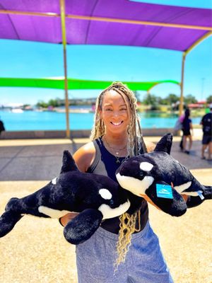 SeaWorld San Antonio by null