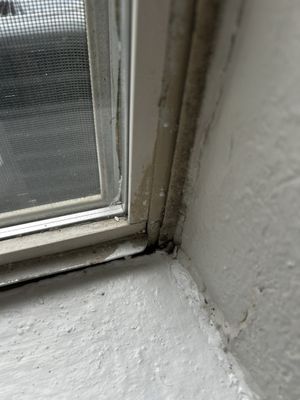 Grand Venetian by null