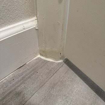 Elite Group Inspection Professionals - Water damage - Home Inspectors Near Me