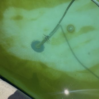 Muros Mirage Pool Services - This was the condition of my pool after my previous pool service. With that company called " Lets Do It All" - Pool Cleaners Near Me