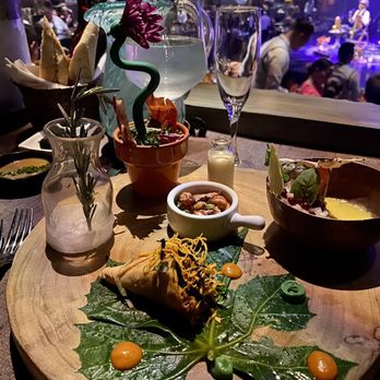 Cirque du Soleil - JOYA - Appetizers - Performing Arts Near Me - Playa del Carmen, ROO Cirque du Soleil - JOYA - Appetizers - Performing Arts Near Me - Playa del Carmen, ROO