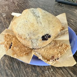 Blueberry Muffin