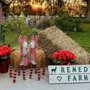 Photo of The Remedy Farm