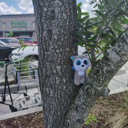 Publix
