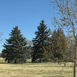Hugh G. Danahy Park - Mature trees and open soace