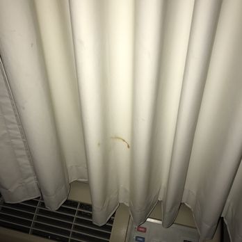 Clarion Inn & Suites Central Clearwater Beach - Stained curtains in there suite. - Hotels Near Me - Clearwater, Florida