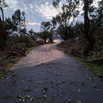 Highborn Tree Service - Tree Services Near Me - Wheatfield, Indiana