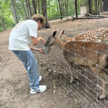 Shalom Wildlife Sanctuary - Parks Near Me - West Bend, Wisconsin Shalom Wildlife Sanctuary - Parks Near Me - West Bend, Wisconsin