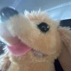 Washington Junior High School - The school mascot (woof woof)