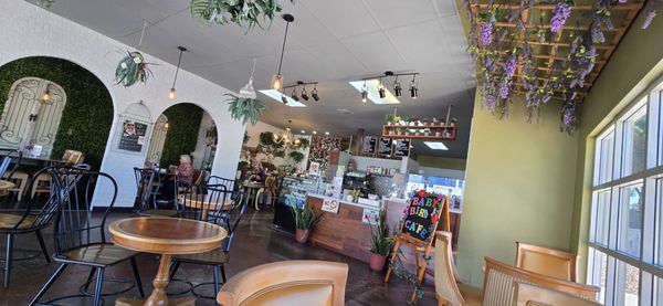 Baby Birds Cafe by null