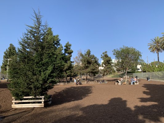 Santa Monica Airport Dog Park www.yelp.com