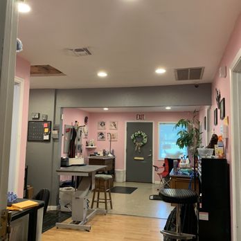 Pampered Paws - Pet Groomers Near Me - Carmichael, California Pampered Paws - Pet Groomers Near Me - Carmichael, California