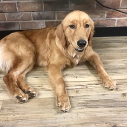 shades sunglasses and casual apparel