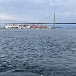 Vågen