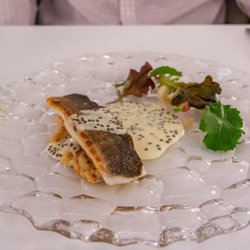 RIVA - Trout