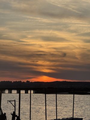 The Marina at the Wharf by null