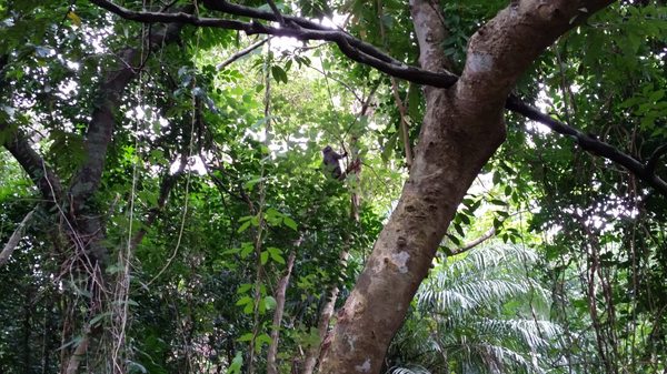 Kenting National Forest Recreation Area by null